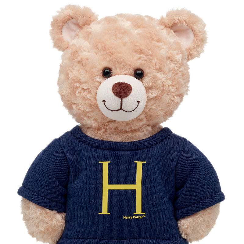 HARRY POTTER Harry Sweater by Build-A-Bear