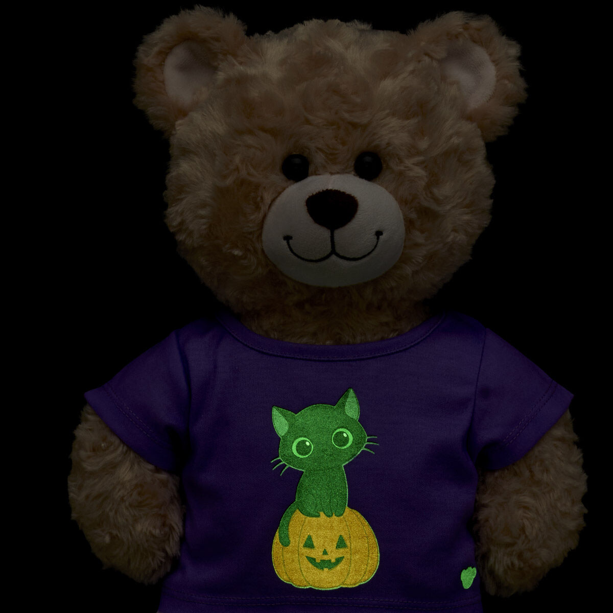 Glow-in-the-Dark Black Cat Pumpkin T-Shirt
