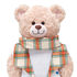 Online Exclusive Plaid Blanket Scarf