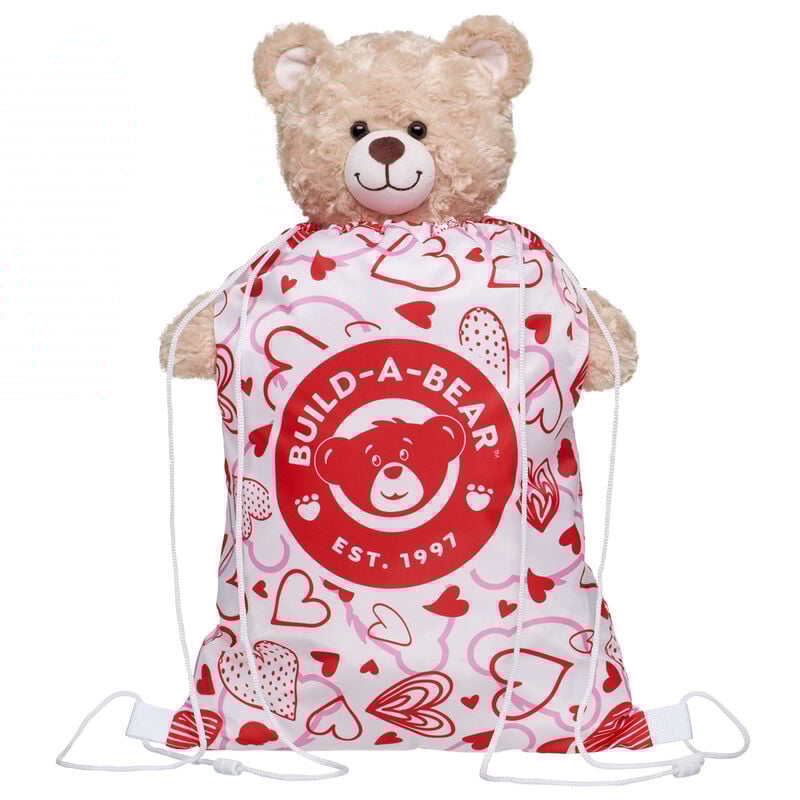 Valentine's Day Toy Bear Carrier by Build-A-Bear