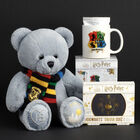 Harry Potter™ I'd Rather Be at Hogwarts™ Fan Box