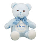 Personalized Embroidered Baby Blue Teddy Bear with Gifting Bow plush by Build-A-Bear
