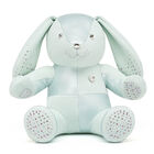 SWAR MINT BUNNY