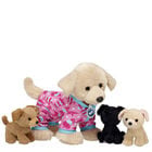 Promise Pets™ Golden Retriever Stuffed Animal Litter Gift Set