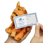 Mini Beans Pumpkin Kitty Stuffed Animal - Build-A-Bear Workshop®