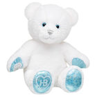 Hooray, It's Your Birthday! Bear