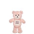 Online Exclusive 8in Tooth Fairy Bear with Pocket