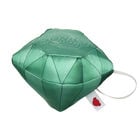 Sonic Master Emerald Wristie 