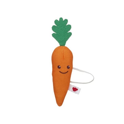 Carrot Wristie 