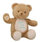 Online Exclusive Embroidered Baby Brown Teddy Bear - Build-A-Bear Workshop&reg;