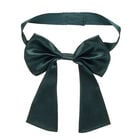 Dark Green Gifting Bow for Plush Toys - Build-A-Bear Workshop®