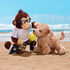 Promise Pets™ Labradoodle