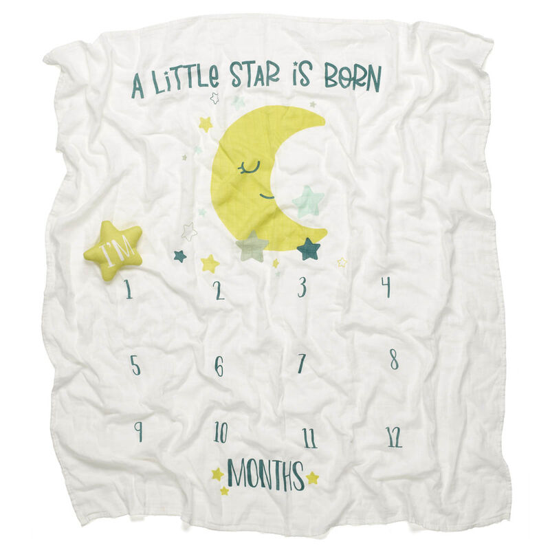 Monthly Milestone Baby Blanket