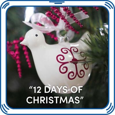 &ldquo;12 Days of Christmas&rdquo;