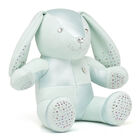 SWAR MINT BUNNY