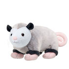 E OPOSSUM