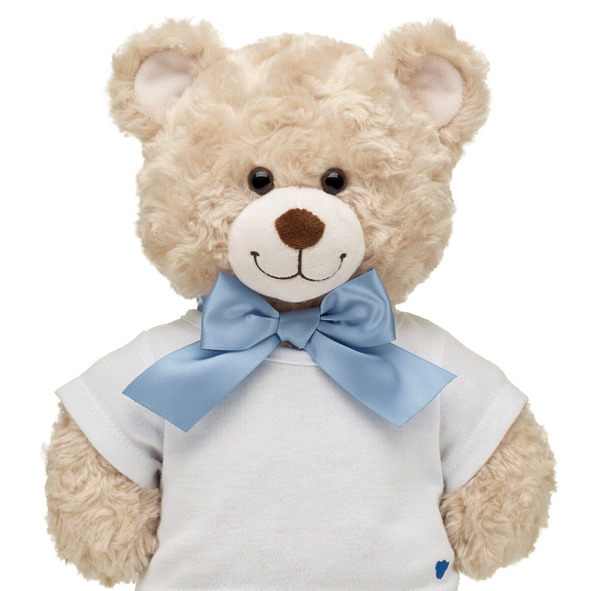 Blue Ribbon Gift Bow
