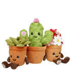 Happy Houseplants Gift Set 