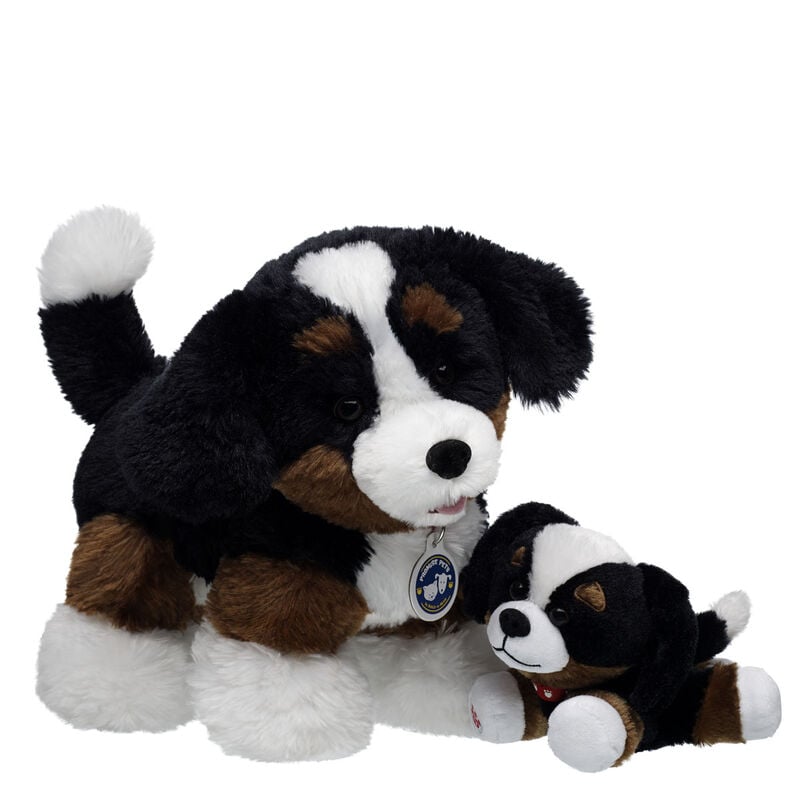 Promise Pets Bernese Mountain Dog Stuffed Animal Mini Beans Gift Set plush by Build-A-Bear