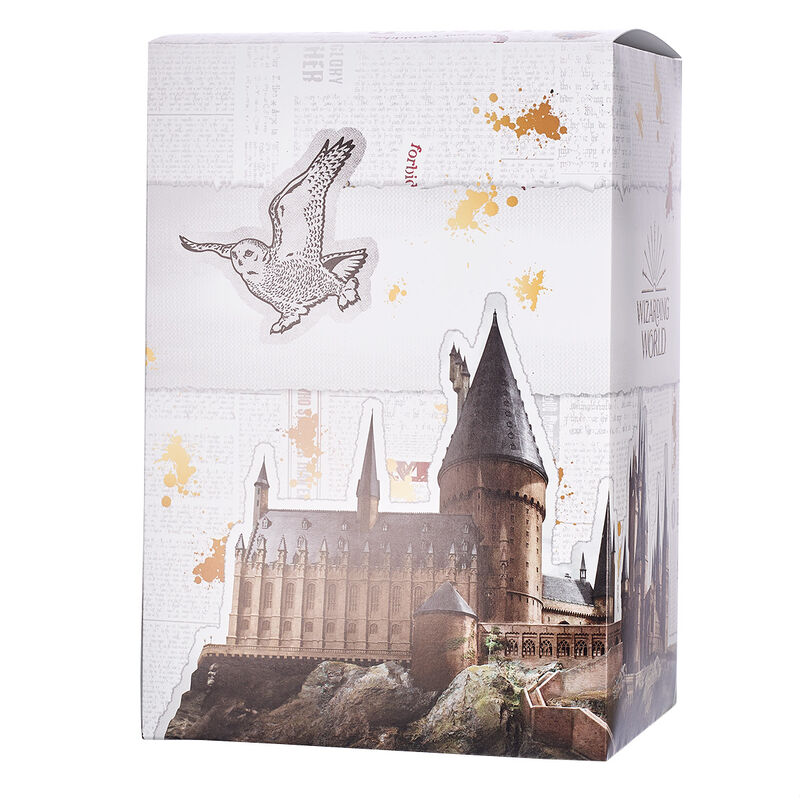 Harry Potter Themed Gift Box - Gifts By Rashi