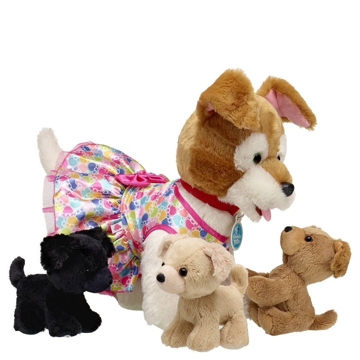 Build a shop bear dogs