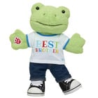 Spring Green Frog Best Brother Gift Set