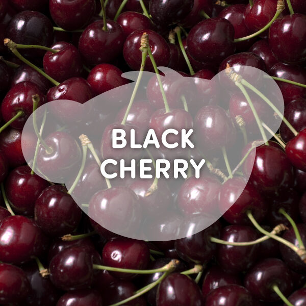 Black Cherry Scent