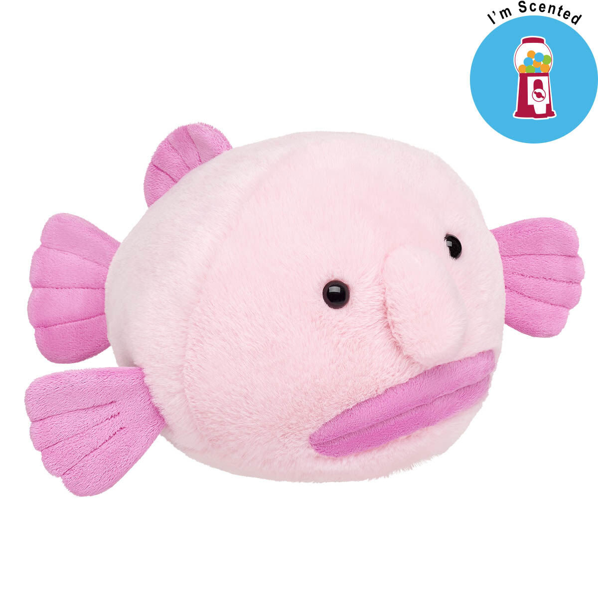 Blobfish Gift Set 