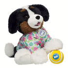 Promise Pets Bernese Mountain Dog Stuffed Animal Tennis Ball Gift Set plush by Build-A-Bear