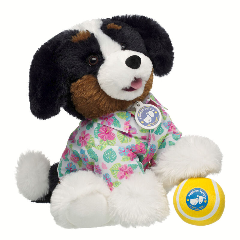 Promise Pets Bernese Mountain Dog Stuffed Animal Tennis Ball Gift Set plush by Build-A-Bear
