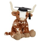 Longhorn Cow Stuffed Animal Graduation Bundle