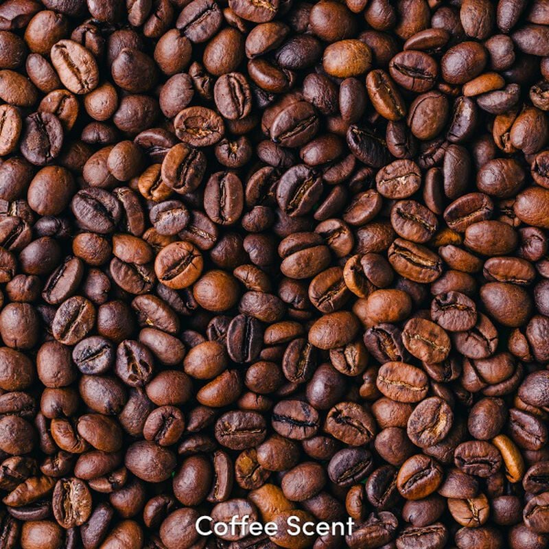 Coffee Scent 