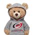 Carolina Hurricanes Hoodie