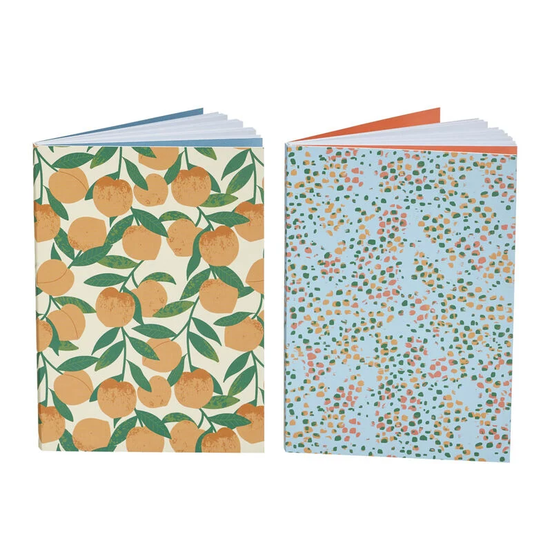 Mini Peach Journal Set