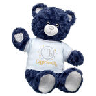 Online Exclusive Night Sky Teddy Capricorn Gift Set