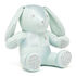 SWAR MINT BUNNY