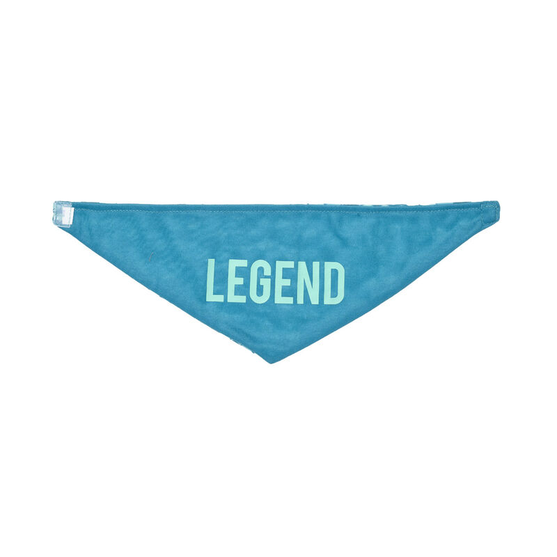 Legend Stuffed Animal Bandana - Build-A-Bear Workshop®