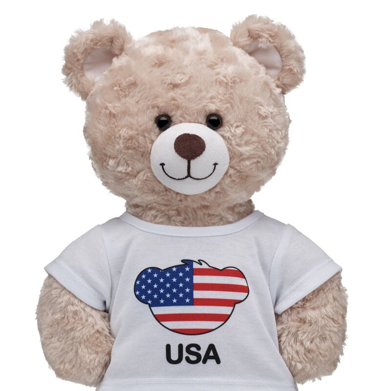 USA Flag T-Shirt