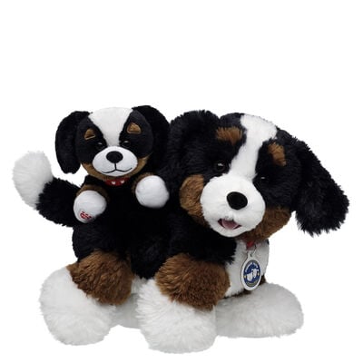 Promise Pets&trade; Bernese Mountain Dog Stuffed Animal Mini Beans&reg; Gift Set