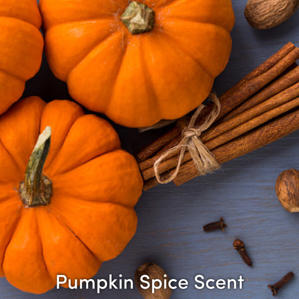 Pumpkin Spice Scent