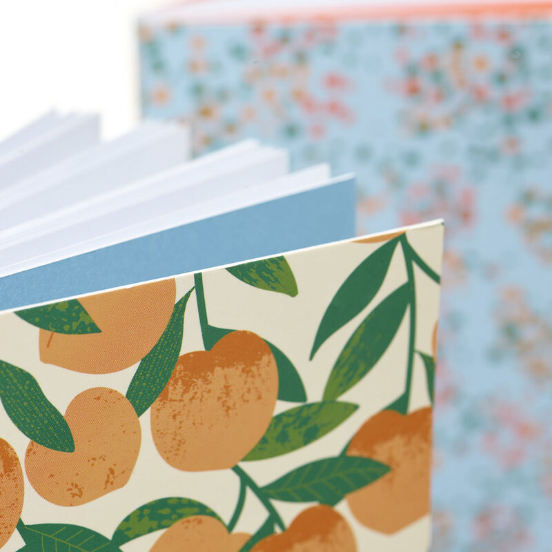 Mini Peach Journal Set