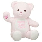 Online Exclusive Embroidered Baby Pink Teddy Bear - Build-A-Bear Workshop&reg;