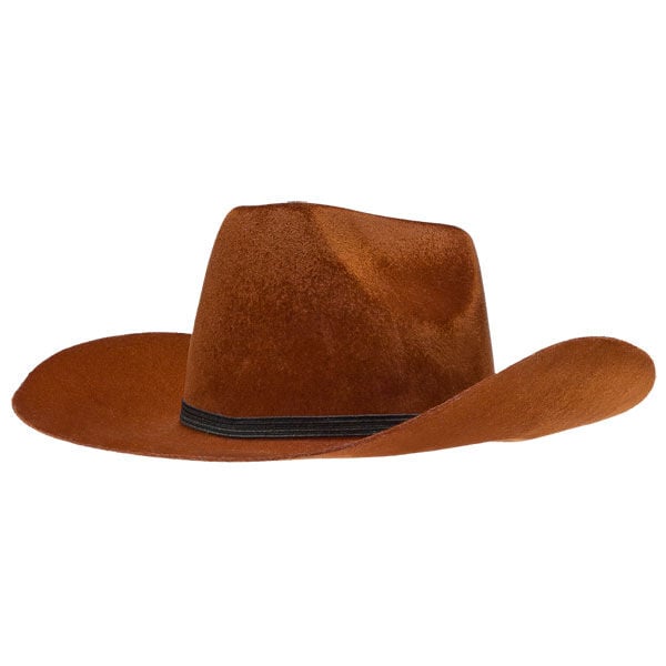 Classic Cowboy Hat