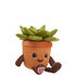 Online Exclusive Build-A-Bear Buddies Succulent
