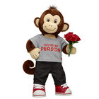 Smiley Monkey Stuffed Animal "You're My Person" Gift Set with Roses