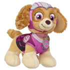 PAW Patrol Skye Gift Set