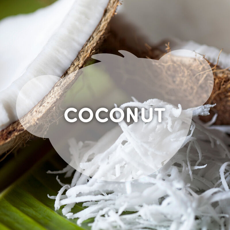 SCENTiments&trade; Coconut Scent