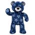Dallas Cowboys Bear