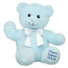Personalized Baby Blue Teddy Bear Gift Set with Recorded Message