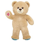 Birthday Treat Bear